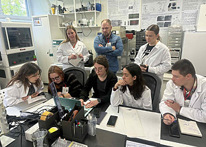 The teams focused on the development of in vitro models